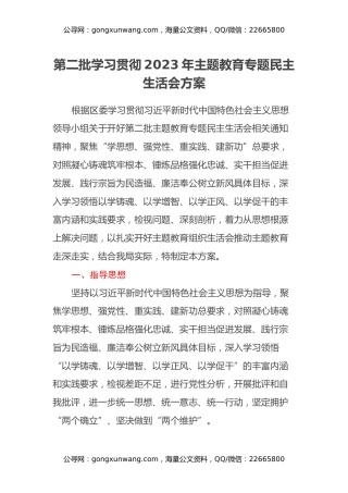 第二批学习贯彻2023年主题教育专题民主生活会方案
