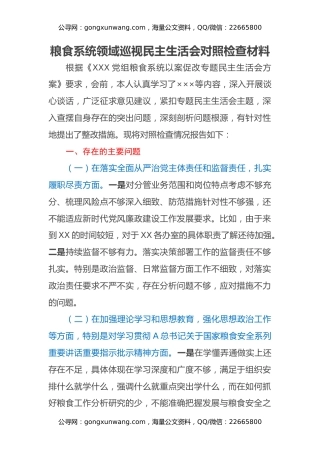 粮食系统领域巡视民主生活会对照检查材料