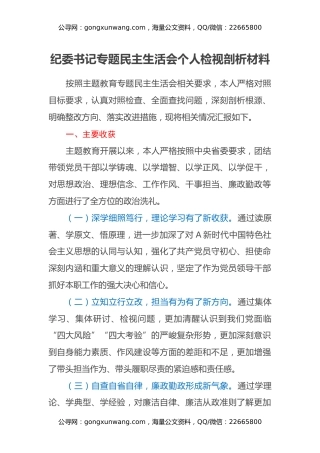 纪委书记专题民主生活会个人检视剖析材料
