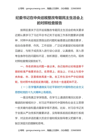 纪委书记在中央巡视整改专题民主生活会上的对照检查报告