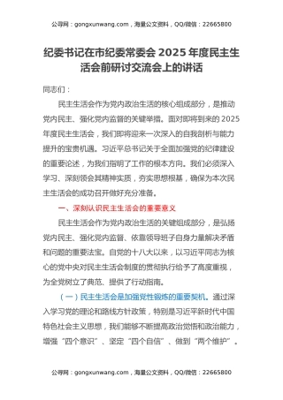 纪委书记在市纪委常委会2025年度民主生活会前研讨交流会上的讲话