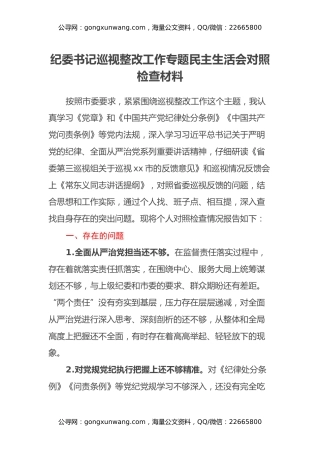 纪委书记巡视整改工作专题民主生活会对照检查材料