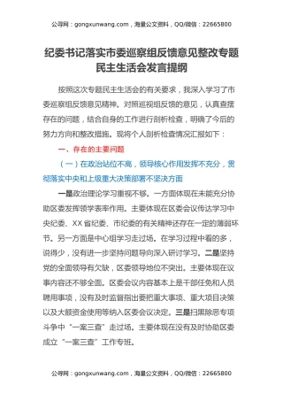 纪委书记落实市委巡察组反馈意见整改专题民主生活会发言提纲