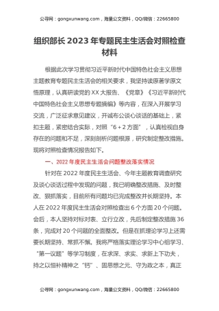 组织部长2023年专题民主生活会对照检查材料（新六个方面+政绩观+意识形态）
