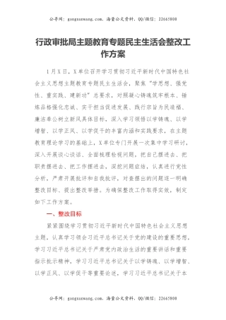 行政审批局主题教育专题民主生活会整改工作方案
