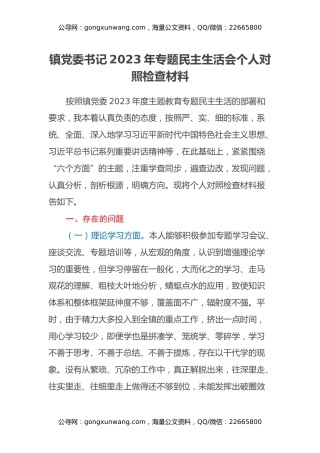 镇党委书记2023年专题民主生活会个人对照检查材料
