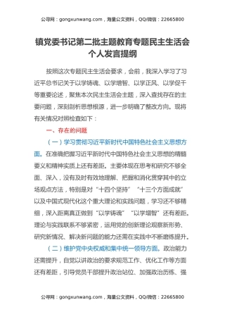 镇党委书记第二批主题教育专题民主生活会个人发言提纲