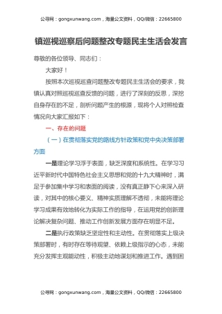镇巡视巡察后问题整改专题民主生活会发言