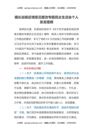 镇长巡视反馈意见整改专题民主生活会个人发言提纲