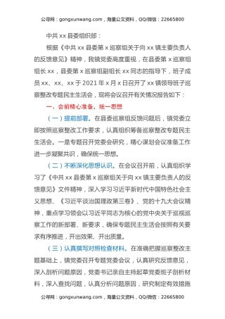 镇领导班子巡察“回头看”专题民主生活会情况报告