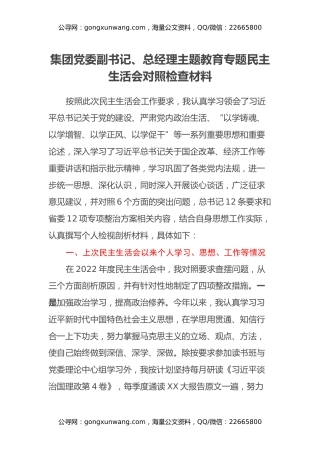 集团党委副书记、总经理主题教育专题民主生活会对照检查材料
