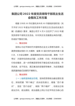 集团公司2022年度党员领导干部民主生活会整改工作方案