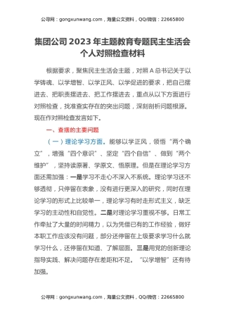 集团公司2023年主题教育专题民主生活会个人对照检查材料