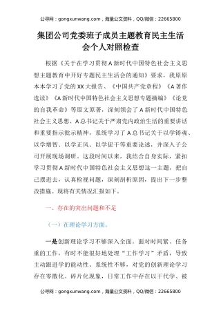 集团公司党委班子成员主题教育民主生活会个人对照检查