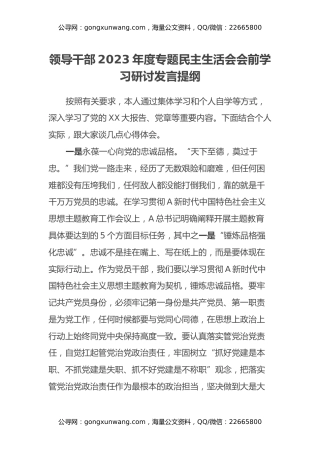 领导干部2023年度专题民主生活会会前学习研讨发言提纲