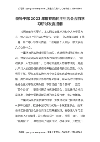 领导干部2023年度专题民主生活会会前学习研讨发言提纲(1)