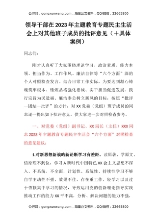 领导干部在2023年主题教育专题民主生活会上对其他班子成员的批评意见（＋具体案例）