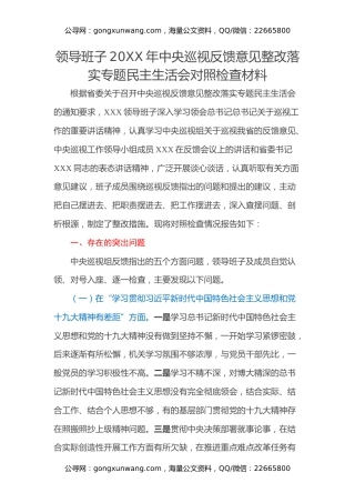 领导班子20XX年中央巡视反馈意见整改落实专题民主生活会对照检查材料