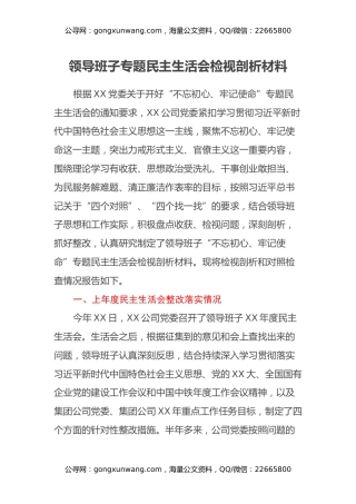 领导班子专题民主生活会检视剖析材料（2）