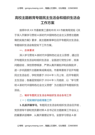 高校主题教育专题民主生活会和组织生活会工作方案