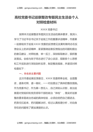 高校党委书记巡察整改专题民主生活会个人对照检查材料