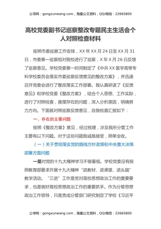 高校党委副书记巡察整改专题民主生活会个人对照检查材料