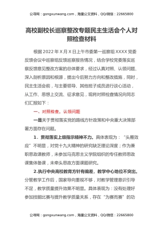 高校副校长巡察整改专题民主生活会个人对照检查材料2