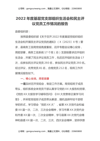 2022年度基层党支部组织生活会和民主评议党员工作情况的报告