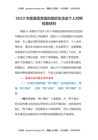 2022年度基层党组织组织生活会 个人对照检查材料（支委）