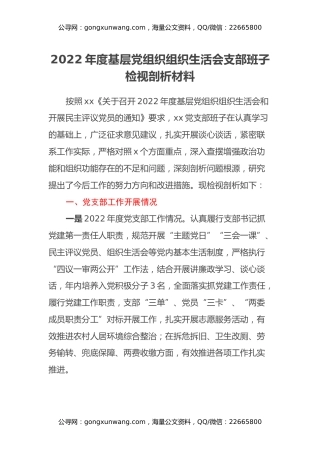 2022年度基层党组织组织生活会支部班子检视剖析材料