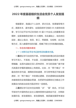 2022年度基层组织生活会党员个人发言提纲
