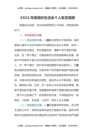 2022年度组织生活会个人发言提纲