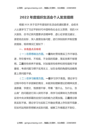 2022年度组织生活会个人发言提纲 (3)