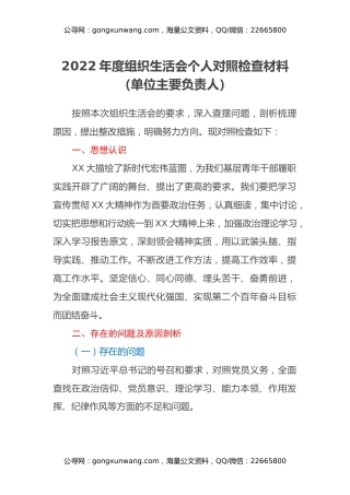 2022年度组织生活会个人对照检查材料（单位主要负责人）
