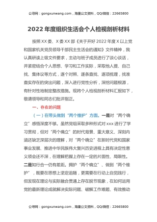 2022年度组织生活会个人检视剖析材料