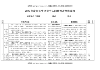 2022年度组织生活会个人问题整改台账表格 (2)