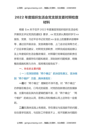 2022年度组织生活会党支部支委对照检查材料