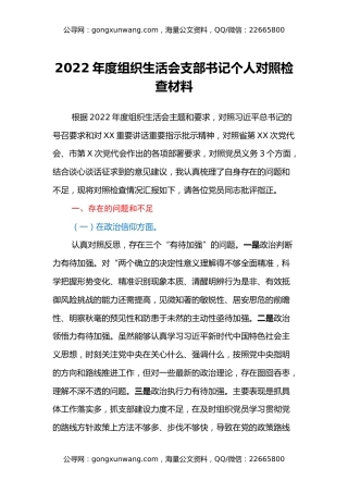 2022年度组织生活会支部书记个人对照检查材料