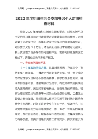 2022年度组织生活会支部书记个人对照检查材料 (2)