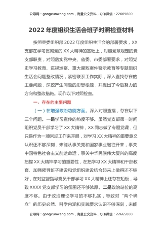 2022年度组织生活会班子对照检查材料 (2)