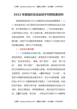 2022年度组织生活会班子对照检查材料 (3)