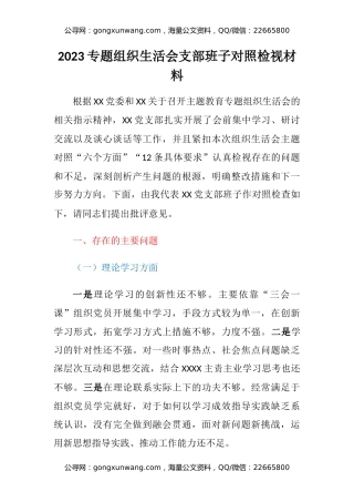 2023专题组织生活会支部班子对照检视材料
