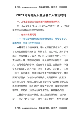 2023年专题组织生活会个人发言材料（四个方面）