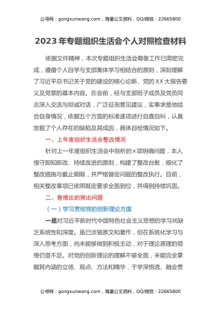 2023年专题组织生活会个人对照检查材料