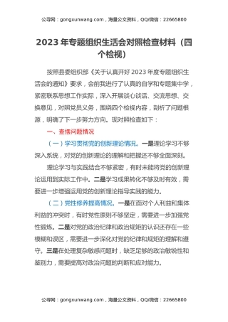 2023年专题组织生活会对照检查材料（四个检视）