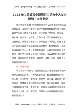 2023年主题教育专题组织生活会个人发言提纲（支部书记）