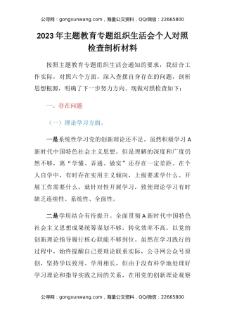2023年主题教育专题组织生活会个人对照检查剖析材料