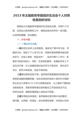 2023年主题教育专题组织生活会个人对照检查剖析材料 (2)
