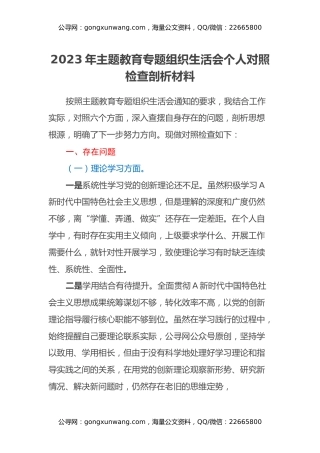 2023年主题教育专题组织生活会个人对照检查剖析材料（2）