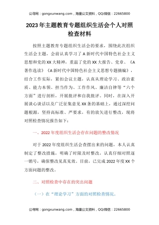 2023年主题教育专题组织生活会个人对照检查材料 (2)
